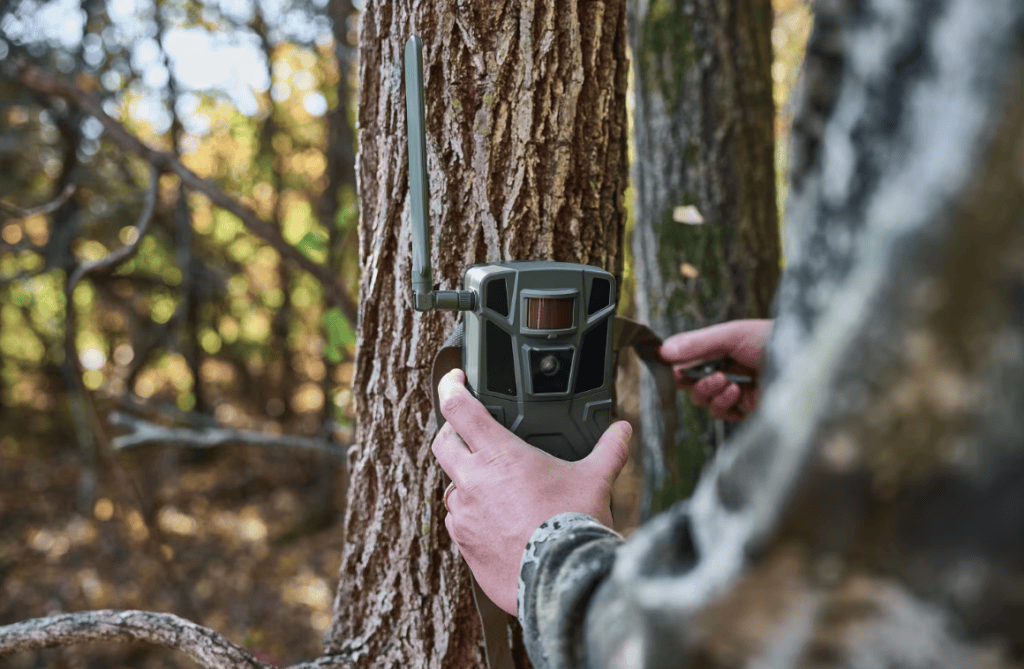 Cabela's Cellular Trail Camera hunting